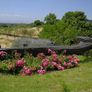 Cirasa Luxury , Trecastagni Italy